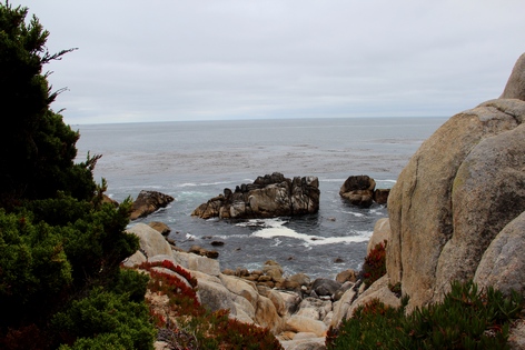 ��������� ����������